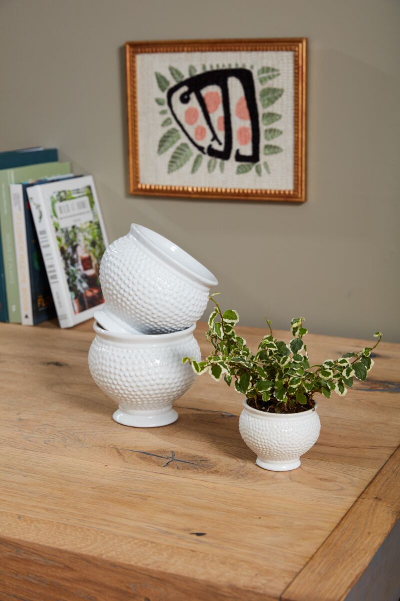 SPOTTI POT (Set of 4)